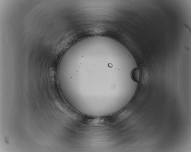 X0000103480366200809261933