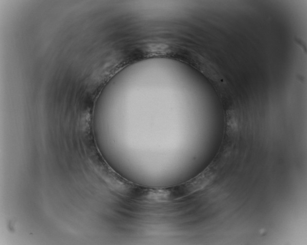 X0000103480369200809261933