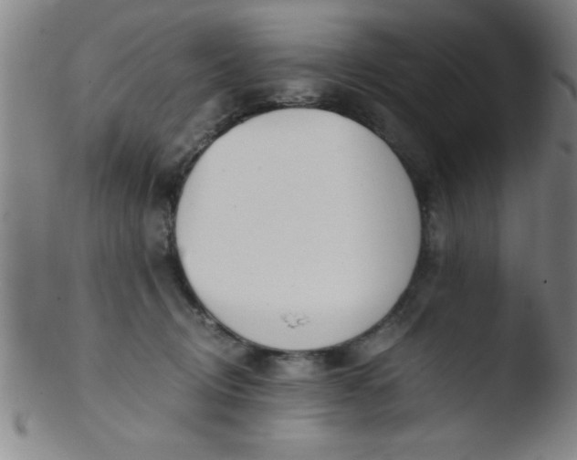 X0000103480370200809261933