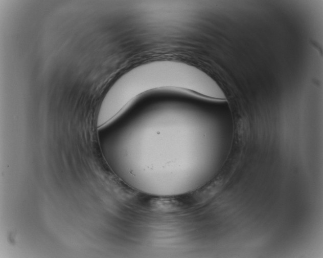 X0000103480372200809261933