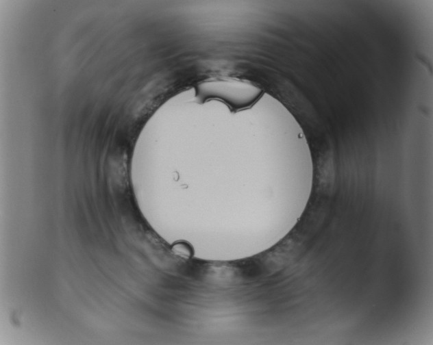 X0000103480376200809261933