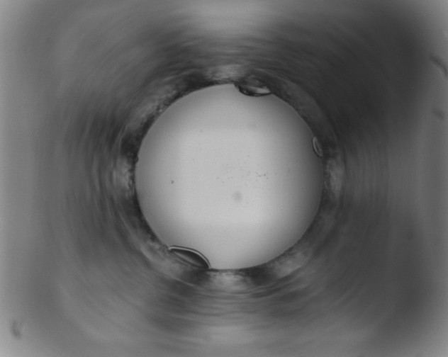 X0000103480380200809261933