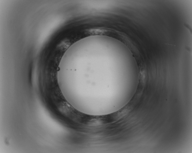 X0000103480381200809261933