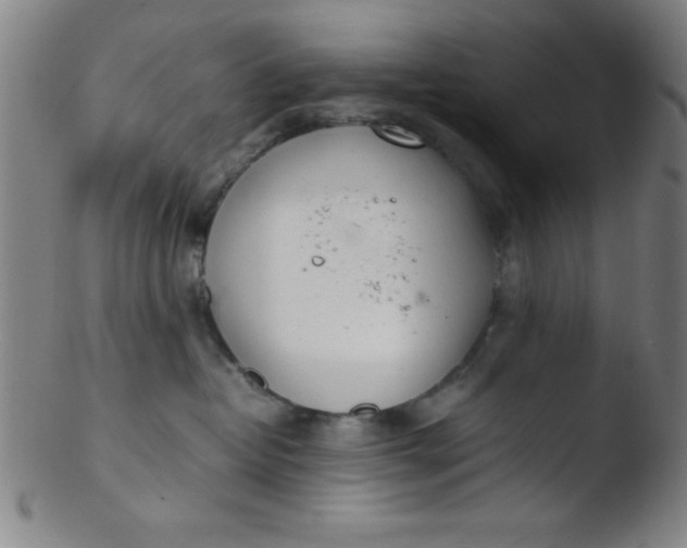 X0000103480382200809261933