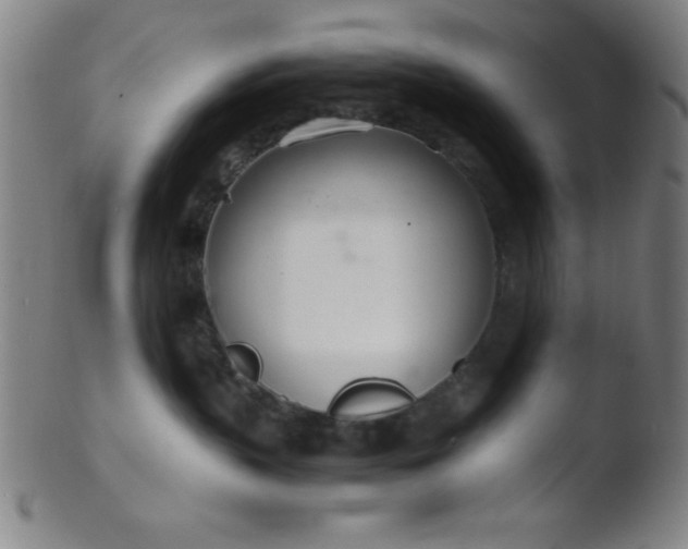 X0000103480383200809261933