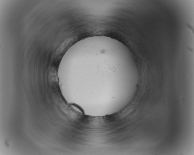 X0000103480384200809261933