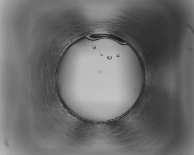 X0000103480385200809261932