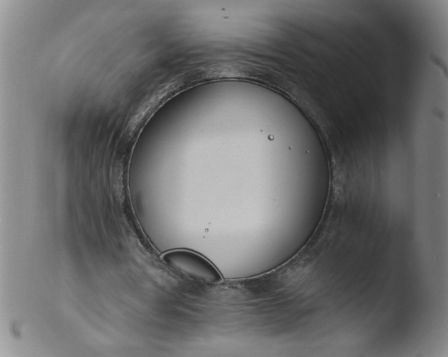 X0000103480386200809261932