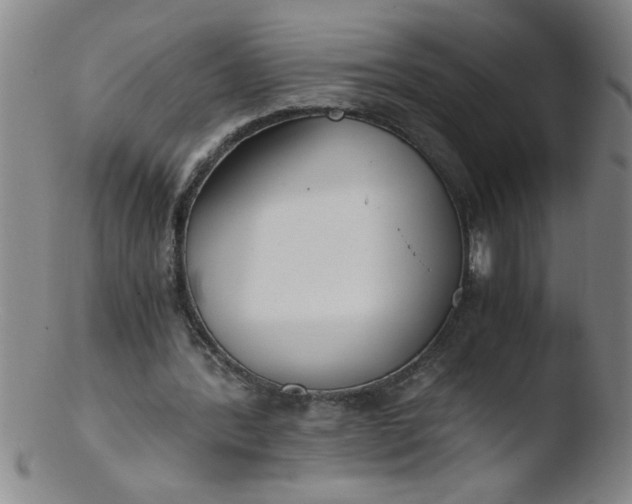 X0000103480388200809261932