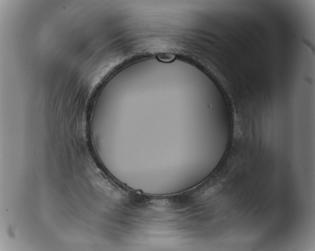 X0000103480391200809261932