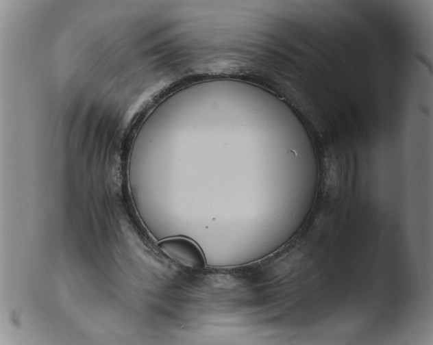 X0000103480392200809261932