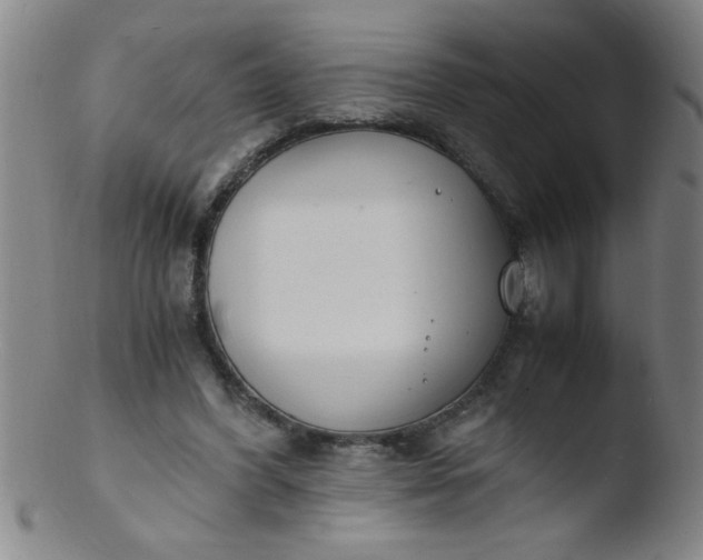 X0000103480396200809261932