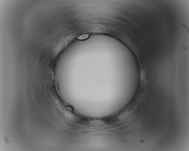 X0000103480397200809261932