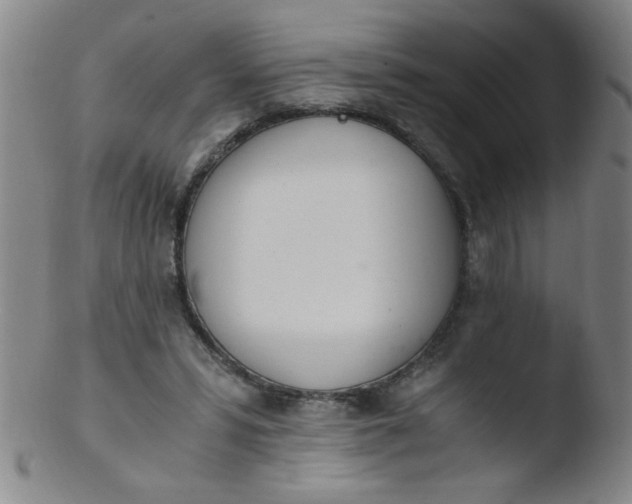 X0000103480399200809261932