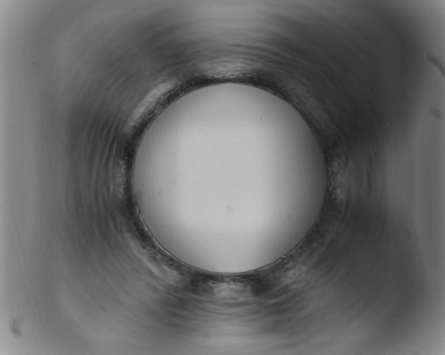 X0000103480400200809261932