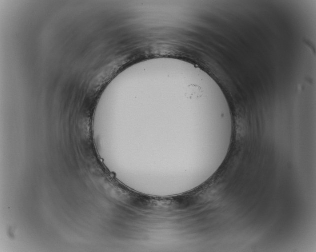 X0000103480401200809261932