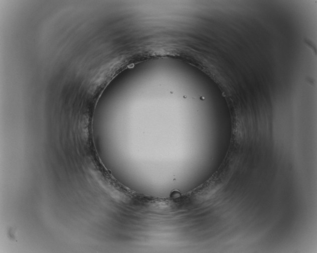 X0000103480402200809261932