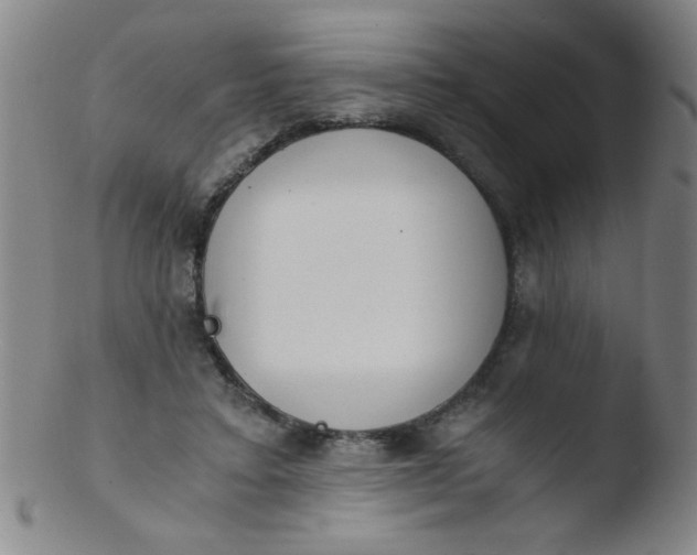 X0000103480403200809261932