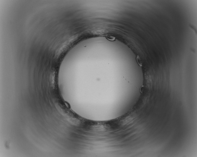 X0000103480404200809261932