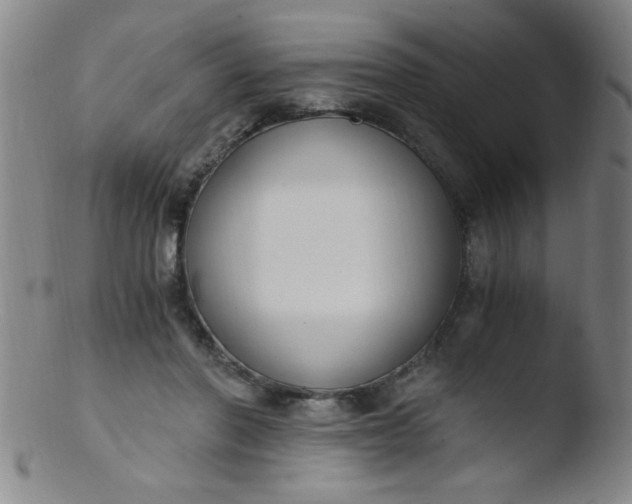 X0000103480406200809261932