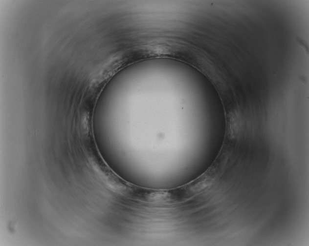 X0000103480410200809261932