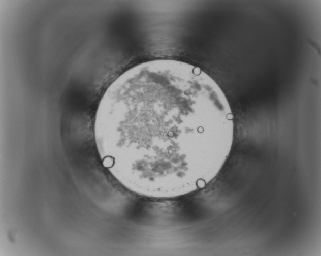 X0000103480411200809261932