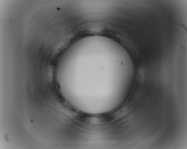 X0000103480412200809261932