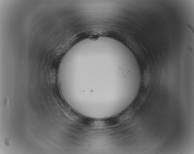 X0000103480413200809261932