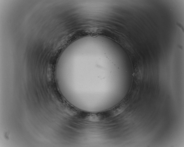 X0000103480416200809261932