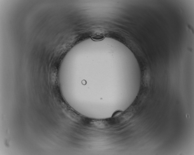 X0000103480417200809261932