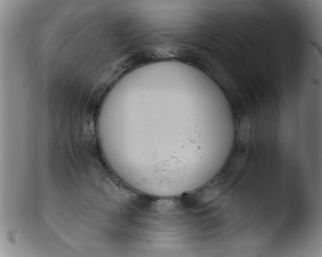 X0000103480418200809261932