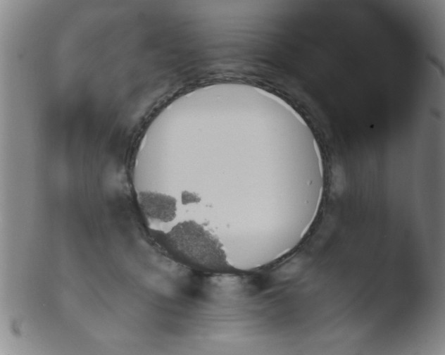 X0000103480419200809261932