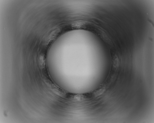 X0000103480420200809261932