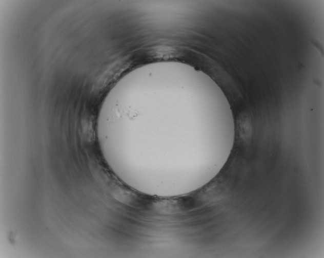 X0000103480422200809261932