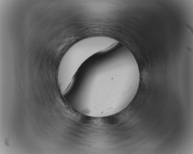 X0000103480423200809261932