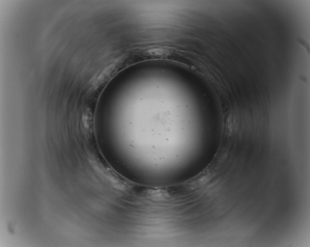 X0000103480424200809261932