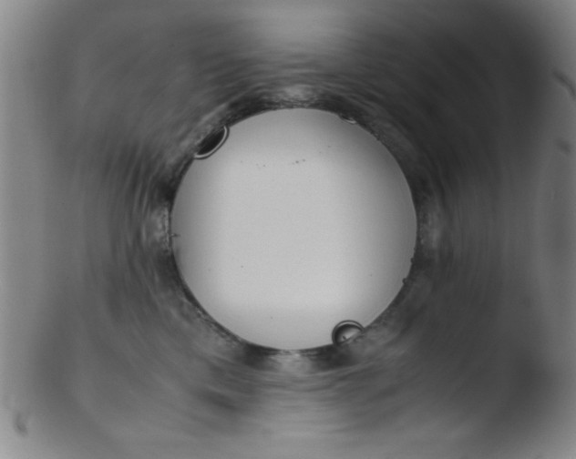 X0000103480425200809261932