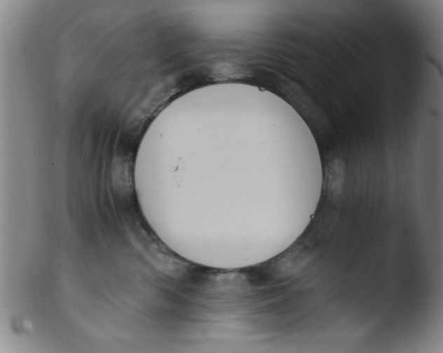 X0000103480426200809261932