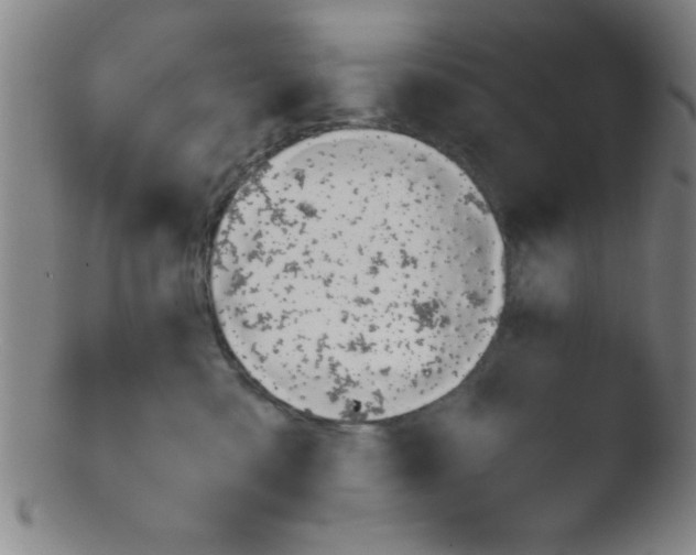 X0000103480427200809261932