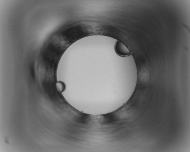 X0000103480429200809261932