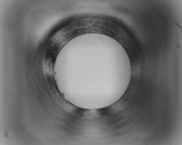 X0000103480431200809261932