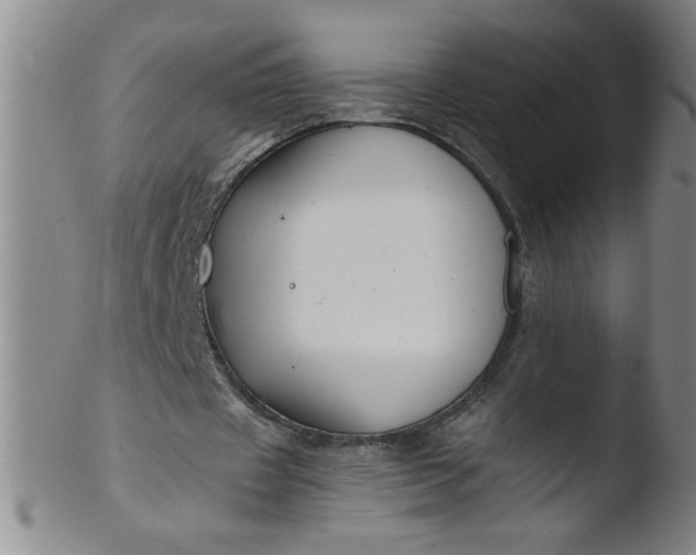 X0000103480433200809261931