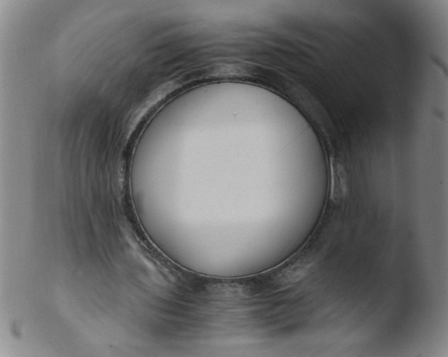 X0000103480435200809261931