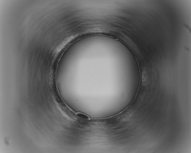 X0000103480436200809261931