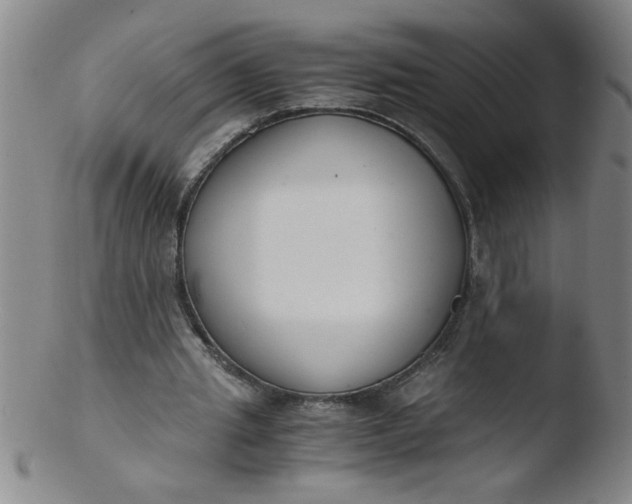 X0000103480437200809261931