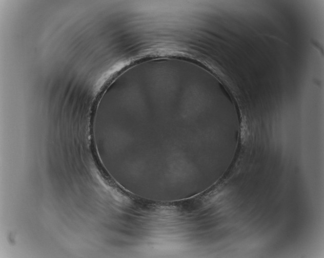 X0000103480438200809261931