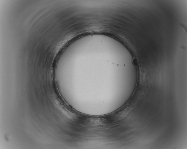 X0000103480439200809261931