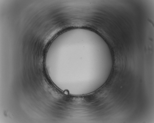 X0000103480440200809261931