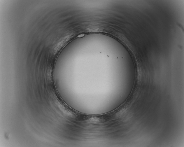 X0000103480441200809261931