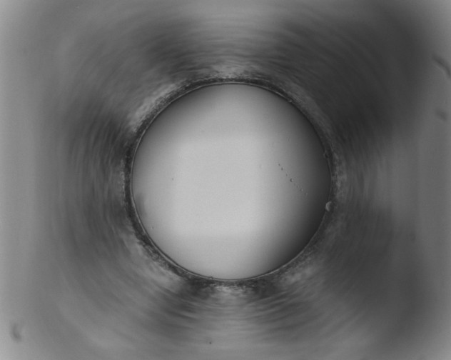 X0000103480442200809261931